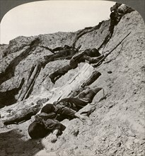 British and German dead near the Hohenzollern Redoubt, Lens, France, World War I, 1914-1918Artist: Realistic Travels Publishers