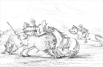 Buffalo attacking a cowboy on a horse, 1841.Artist: Myers and Co