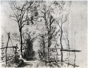 'A Path Bordered by Trees', c1620-1625 (1958). Artist: Unknown