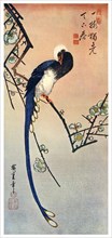 'Long Tailed Blue Bird on Branch of Plum Tree in Blossom', 19th century (1925). Artist: Unknown