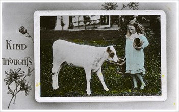 Girl about to milk a cow, greetings card, c1890-1910(?). Artist: Unknown