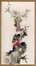 Pheasant, 1832 (1886). Artist: Witherby & Co