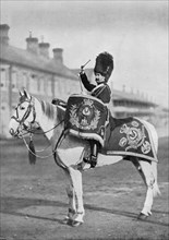 'Plum Duff', the drum-horse of the Royal Scots Greys, 1896. Artist: Gregory & Co