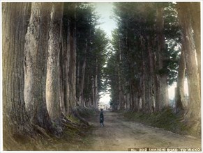 Imaichi Road at Nikko, Japan, early 20th century(?). Artist: Unknown