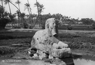 Alabaster Sphinx at Memphis, Egypt, c1920s-c1930s(?). Artist: Unknown