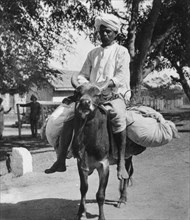 The laundry man, India, late 19th or early 20th century.  Artist: Cavanders Ltd