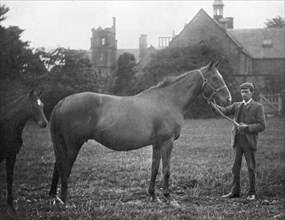 St Marguerite, British racehorse, 1895 (1938). Artist: Unknown