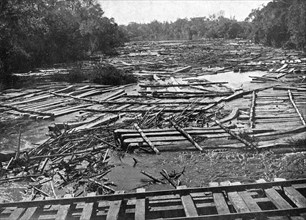 Cedar logs on the Tebicuary-Guazu River floating by the railway bridge, Paraguay, 1911. Artist: Unknown