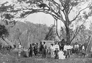 Paraguayan tea gathering, Paraguay, 1911. Artist: Unknown