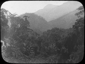 Near Petrópolis, Rio de Janeiro, Brazil, late 19th or early 20th century. Artist: Unknown