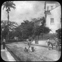 Street scene, Pernambuco, Brazil, late 19th or early 20th century. Artist: Unknown