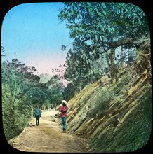 Scene on a road, Murree, India, late 19th or early 20th century. Artist: Unknown