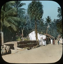 Road from Colombo to Galle, Colombo, Ceylon, late 19th or early 20th century. Artist: Unknown