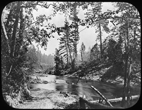 Backwoods, Western USA, late 19th or early 20th century. Artist: Unknown