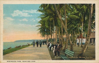 Borinquen Park, near San Juan, 1909. Artist: Unknown