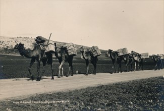 A Camel Train bound for Damascus, 1936. Artist: Unknown