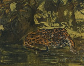 'A Jaguar', c1900. Artist: John MacAllan Swan.