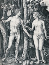 'Adam and Eve', 1504 (1906). Artist: Albrecht Durer.