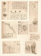 Five drawings illustrating the elements of landscape painting, c1472-c1519 (1883). Artist: Leonardo da Vinci.