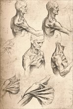 Anatomical drawing, c1472-c1519 (1883). Artist: Leonardo da Vinci.