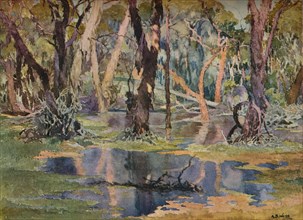 'Quindanning Pool', c1927. Artist: Archibald Bertram Webb.
