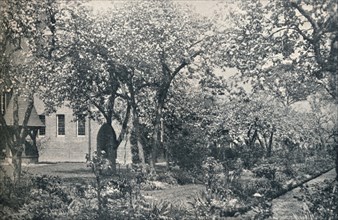 'Example of orchard garden, originally laid out by William Morris', c1900. Artist: Unknown.