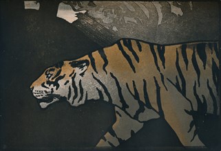 'The Tiger', c1900. Artist: John Dickson Batten.