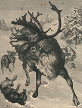 'The Reindeer', c19th century. Artist: Unknown.