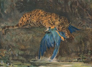 'Jaguar and Macaw', late 19th century. Artist: John MacAllan Swan.