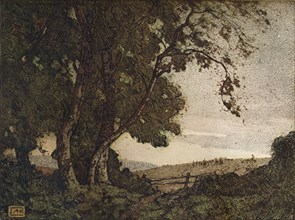 'The Drooping Ash', c1910. Artist: Alfred Hartley.