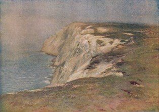 'The Edge of a Noble Down', c1893. Artist: William Eyre Walker.