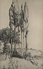 'Cypress Trees Near Siena', 1903. Artist: Charles Holroyd.