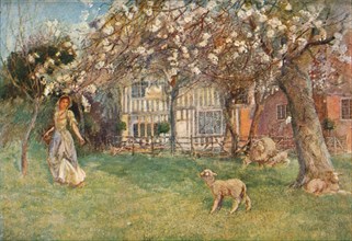 'Lambs', c1904. Artist: Herbert Alexander Collins.