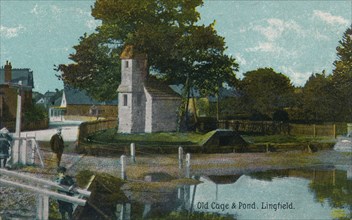 Old cage and pond, Lingfield, Surrey, c1905. Artist: Unknown.