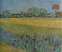 'View of Ales with Irises in Bloom', 1888. Artist: Vincent van Gogh.