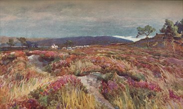 'On The Heath Lytchett Minster', c1904. Artist: Frederick William Newton Whitehead.