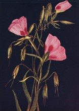 'Farewell to Spring',  c1915, (1915). Artist: Emma Graham Clock.