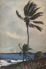 'Palm Trees, Nassau', 1898, (1932). Artist: Winslow Homer.