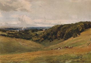 'Arundel Park, with Deer', 1880. Artist: Thomas Collier.
