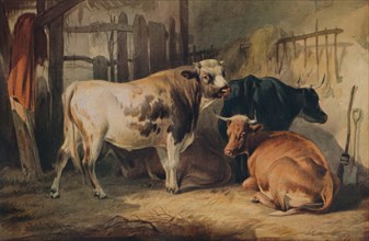 'A Bull and three Cows in a Stable', c1856. Artist: Thomas Sidney Cooper.