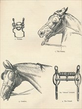 Horse bits, good and bad, c1909 (c1910). Artist: Unknown.
