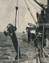 The shark-shaped paravane, 1943. Artist: Unknown.