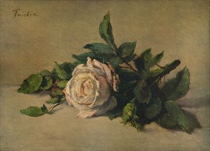 'White Rose', c1863, (1938). Artist: Henri Fantin-Latour.