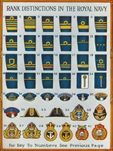 Rank distinctions in the Royal Navy, c1919 (1919). Artist: Unknown.