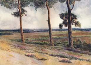 'View from Staple Hill', 1911, (1914). Artist: James S Ogilvy.