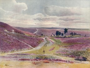 'Moorland at Frensham', 1912, (1914). Artist: James S Ogilvy.
