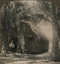'Thatched Cottage in Cocoanut Grove, Florida, U.S.A.', c1900. Artist: Unknown.