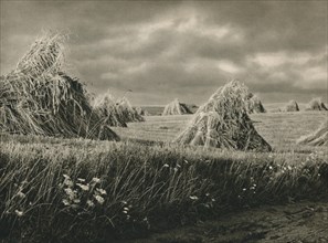 'Ernte in Mausren - Harvest in Masouria', 1931. Artist: Kurt Hielscher.