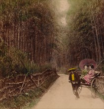 'Bamboo Avenue, Kyoto, Japan', 1896. Artist: Unknown.