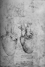 'Two Drawings of the Heart', c1480 (1945). Artist: Leonardo da Vinci.